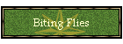 Biting Flies